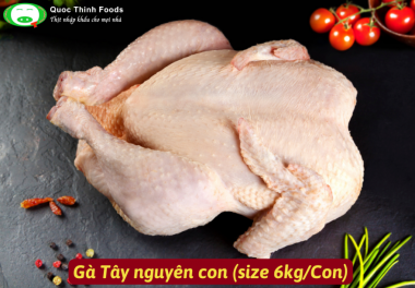 Gà Tây Nguyên Con Nhập Khẩu Mỹ (Size 6 kg/Con)