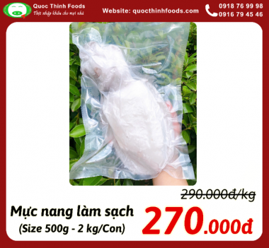Mực nang làm sạch (Size 500g - 2 kg/Con) NET 8 - Tính kg