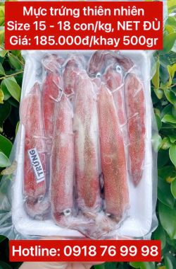 Mực ống trứng Phú Qúy size 15 - 18 con/kg (NET ĐỦ)- Khay 500gr