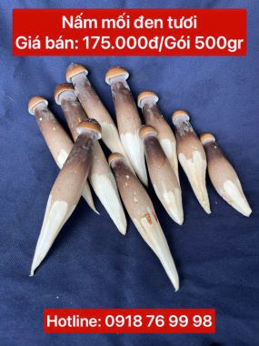 Nấm mối đen tươi - gói 500gr