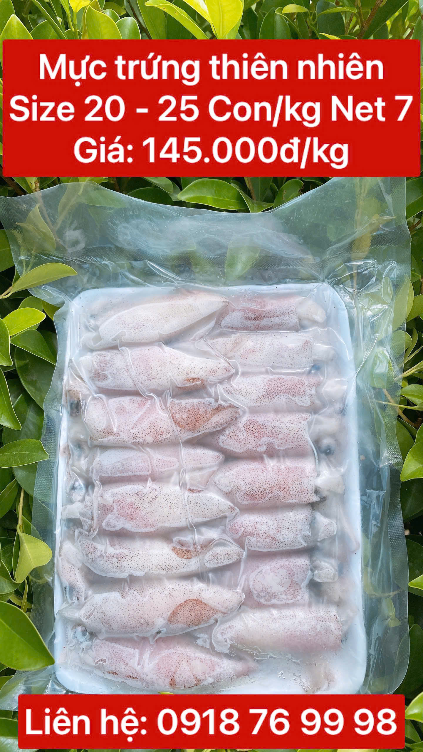 Mực trứng thiên nhiên size 20 - 25 con/kg Net 7 - Khay 1 kg