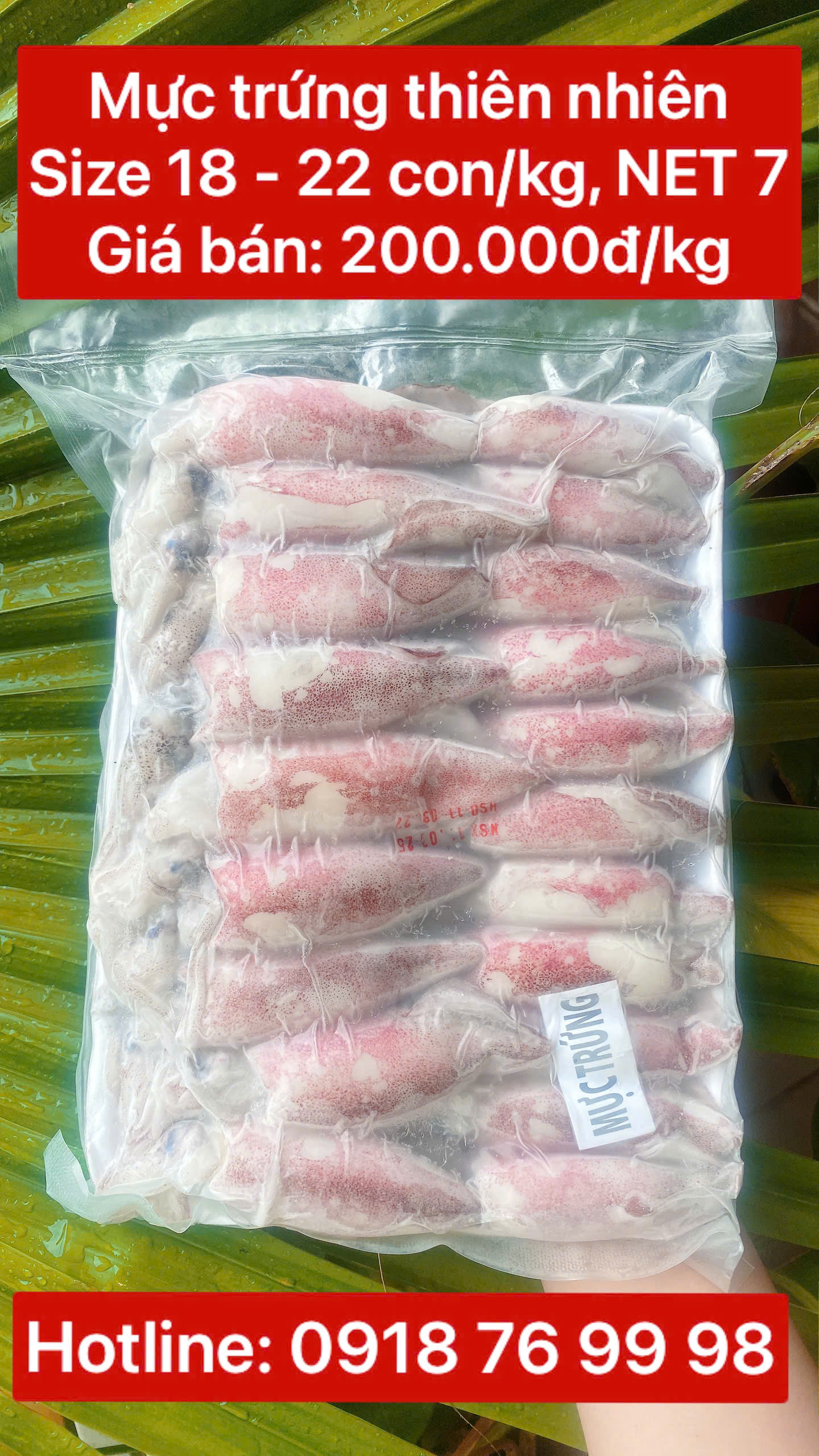 Mực trứng thiên nhiên Size 18 - 22 con/kg (NET 7) - Khay 1 kg