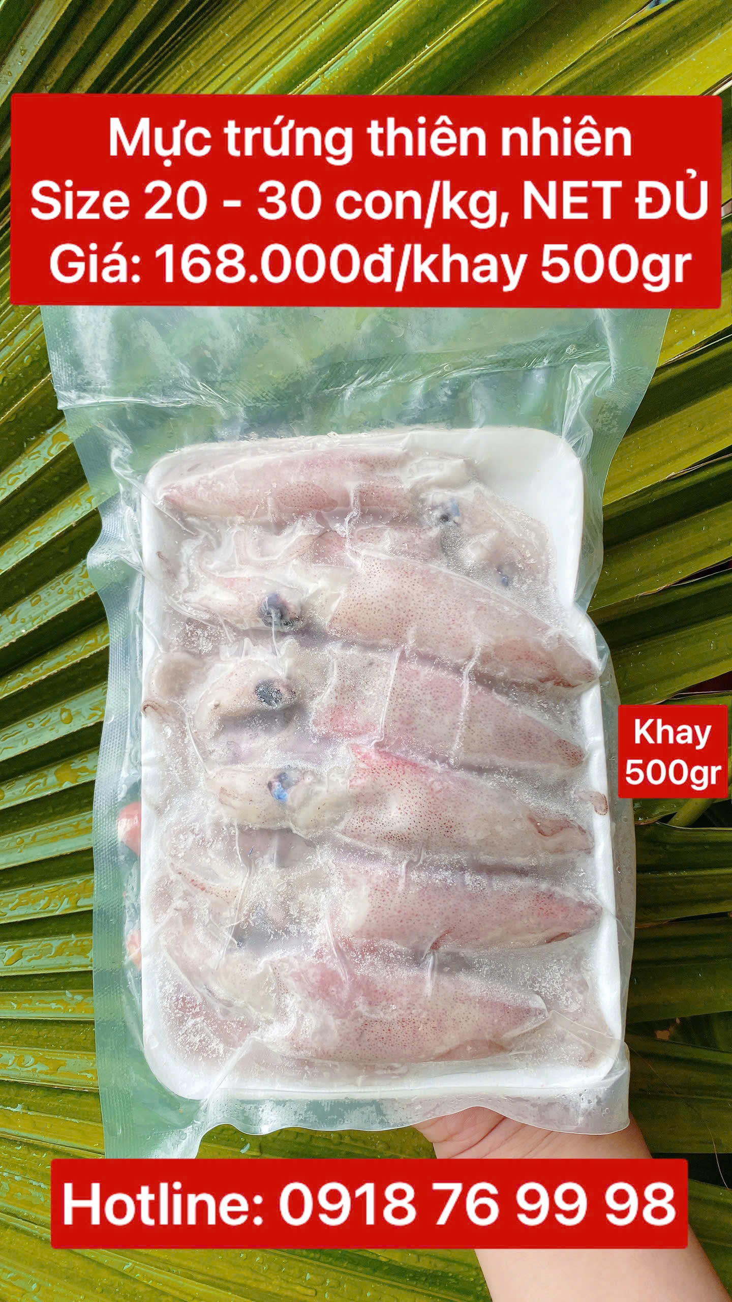 Mực trứng thiên nhiên Size 20 - 30 con/kg (NET ĐỦ) - Khay 500gr