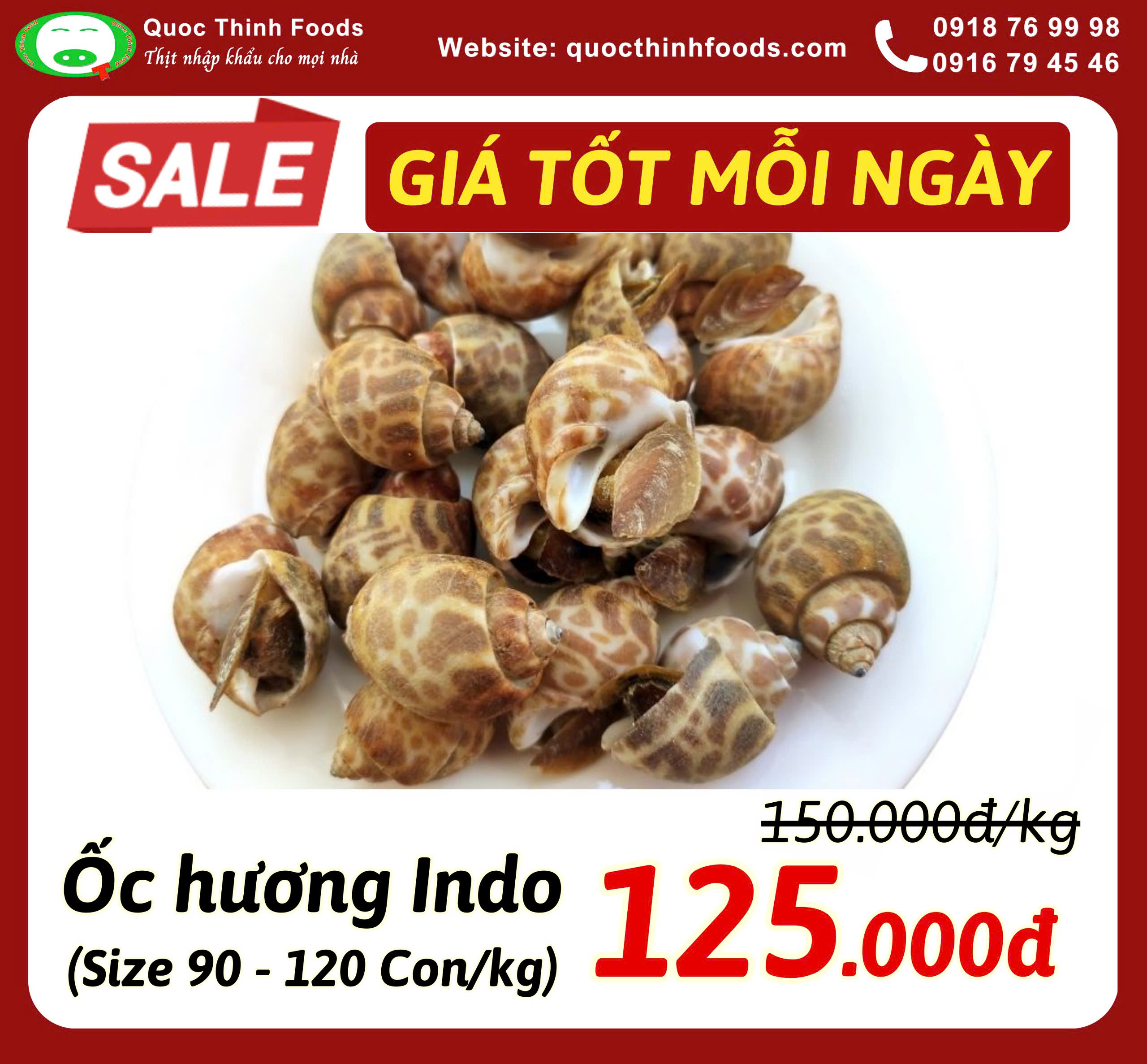 Ốc hương Indonesia size 90 - 120 con/kg - Túi 1 kg