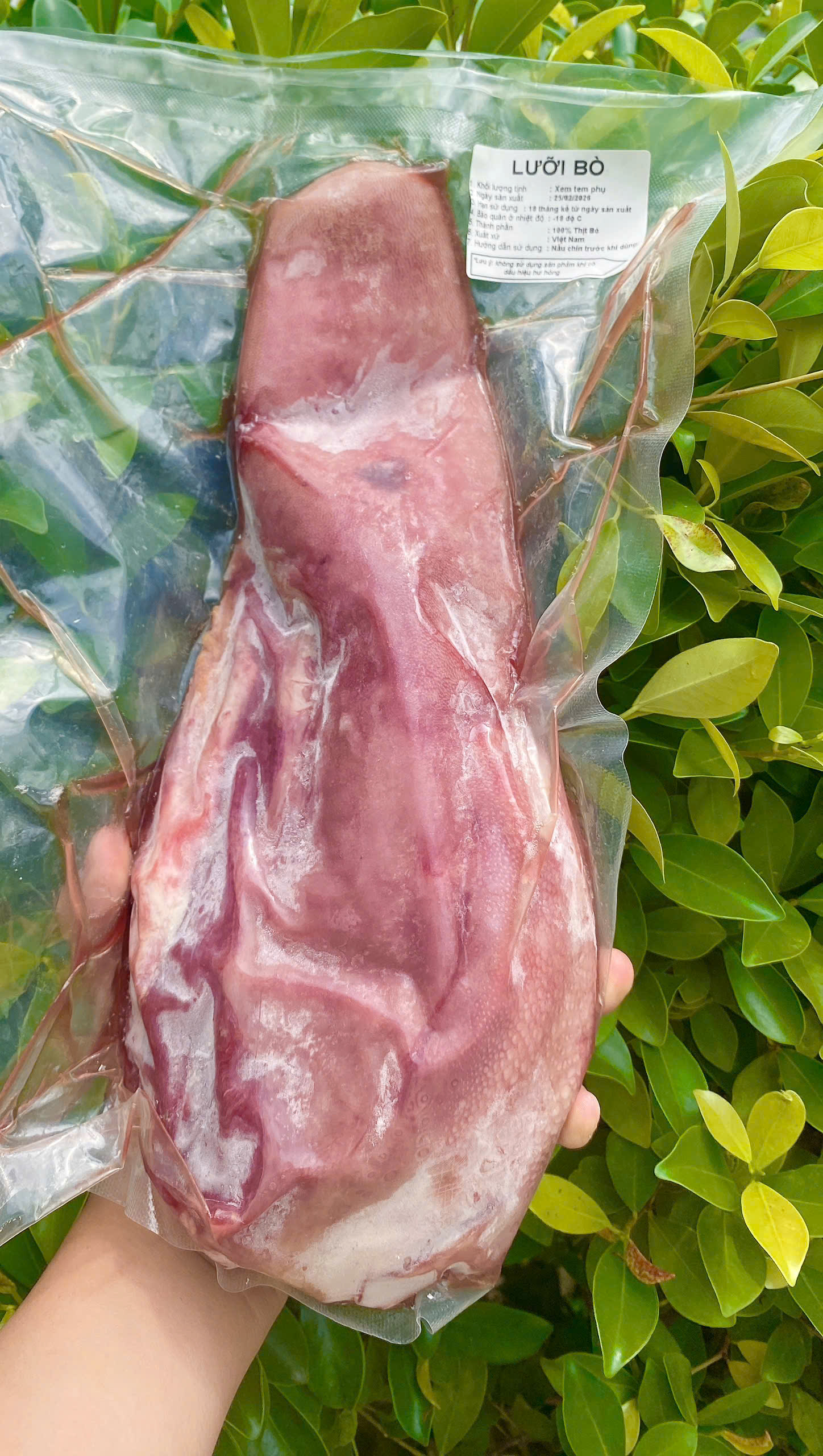 Lưỡi Bò Việt Nam - Nguyên Cái - Tính Kg